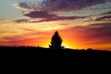 Fototapeta premium Sunset in Orillia