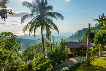 Fototapeta na wymiar Hill side view of terrace on island Samui Thailand
