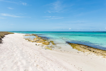 Fototapeta na wymiar Beautiful Caribbean beach, in Los Roques Archipelago, Venezuela