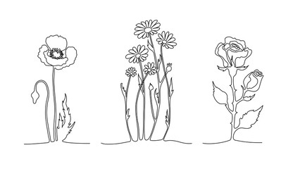 Set of continuous line flowers. Poppy, chamomile, rose. One line drawing concept. Vector illustration isolated on white background.