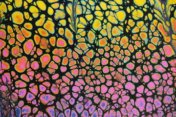 Black acrylic swipe painting with multicolored cells popping through with one color flowing into the next.