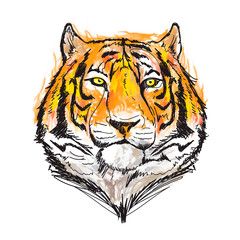 awesome tiger watercolor vector illustration