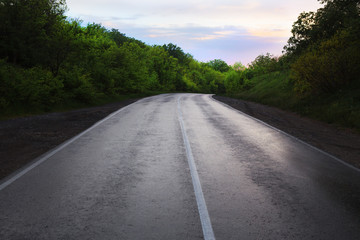Asphalt highway in the forest in the evening at sunset