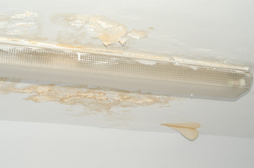 Unhealthy mold damaged ceiling around fluorescent light