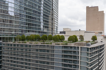 Roof Garden with Modern High Rise Buildings