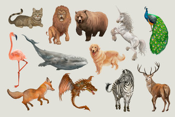 Hand drawn animals and creatures