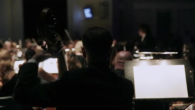 Close-up man playing double bass. A group of violinists in orchestra during a symphony concert. Conductor directs the orchestra. Performance of a symphony orchestra. View of the orchestra in theater