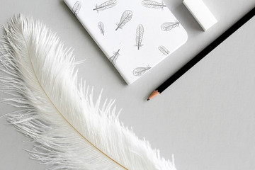 feather on gray background with notebook eraser and pencil on desk