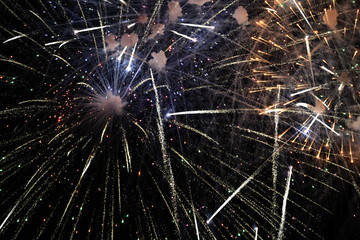 Beautiful Fireworks Explosion
