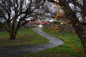 Path,tree,house,camino,casa,arból,otoño, autumn,green,verde,grass