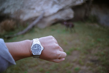 watch,clock,reloj, mano, perro,tiempo,time, nueve