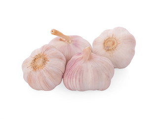 Garlic isolated on white background