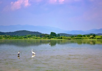 생태공원 우포늪