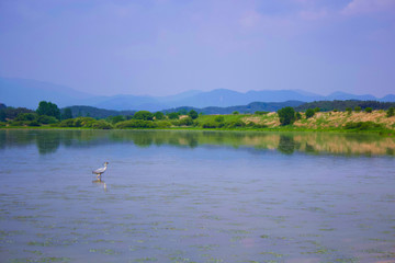 생태공원 우포늪