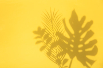 Bright summertime trendy tropical leaf shadows on a yellow background
