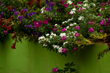pared con flores