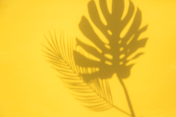 Bright summertime trendy tropical leaf shadows on a yellow background