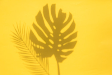 Bright summertime trendy tropical leaf shadows on a yellow background