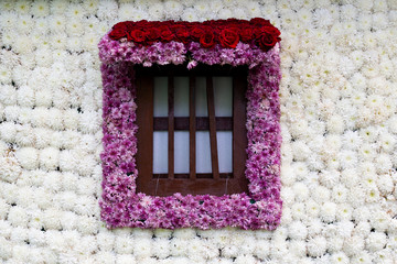 Window made of colorful flowers