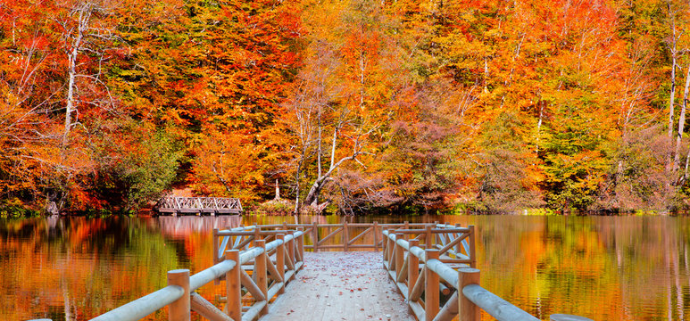Autumn landscape in (seven lakes) Yedigoller Park Bolu, Turkey