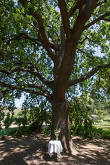 Obraz premium Beautiful Rustic Wedding Floral Arrangements