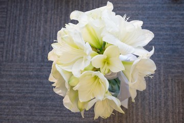 A bouquet of white Amarilis. Bridal, celebration and Birhtday concept. Background.