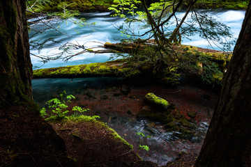 Glacial River in the woods