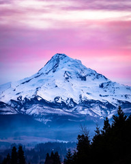 Fototapeta na wymiar Mount Hood closeup