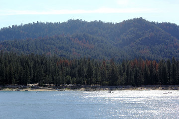 lake in winter forest