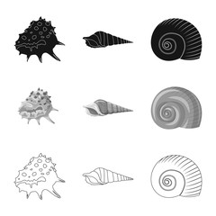 Isolated object of animal and decoration icon. Set of animal and ocean vector icon for stock.