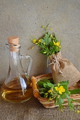 Medicinal herb-celandine.Tincture for treatment.
