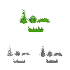 Vector illustration of grass and bush logo. Collection of grass and garden stock symbol for web.