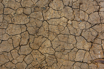 Colorful dry soil surface with deep black cracks