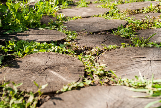 The path in the park is made of wooden stumps.