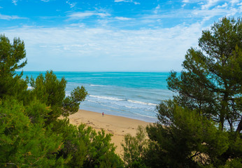 Pineto (Italy) - The touristic sandy beach of Abruzzo with the monumental pine forest and the famous tower castle called Torre di Cerrano