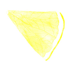 a lemon slice of yellow, painted in watercolor, isolated on white. triangular quarter lemon.
