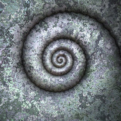 petrification spiral