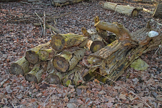 Holzstapel