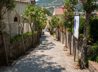  A narrow steep street with blooming oleanders in Ravello. Amalfi Coast. Italy