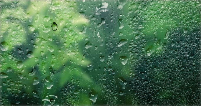close up steam mirror  with rain drop on glass window and outside of fresh green tree. rainy season background