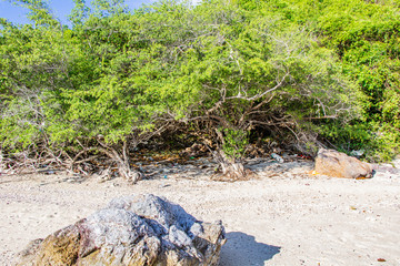 koh larn island tropical beach in pattaya city Thailand