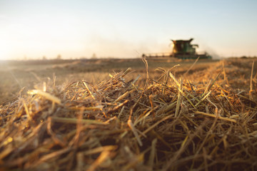 Stroh und Mähdrescher auf einem Weizenfeld