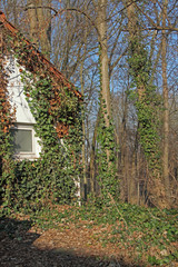 versteckte Hütte