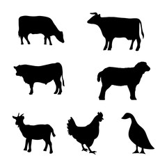 Isolated animals farm on the white background. Farm animals silhouettes Vector EPS 10.