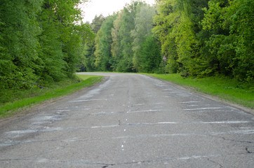 Road in the forest, asphalt, wallpaper