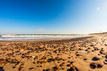 lonesome beach of the Baltic Sea with pebbles and blue sky