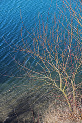 See-Ufer