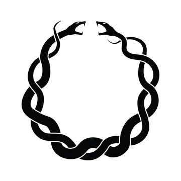 Round snake clearance