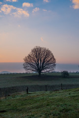 sunrise in Bohemian Switzerland