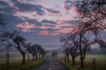 sunrise in Bohemian Switzerland